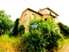 Виноградники продажа в Италии