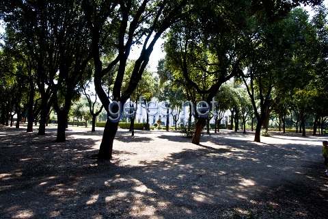 Олений Парк на Вилле Боргезе в Риме